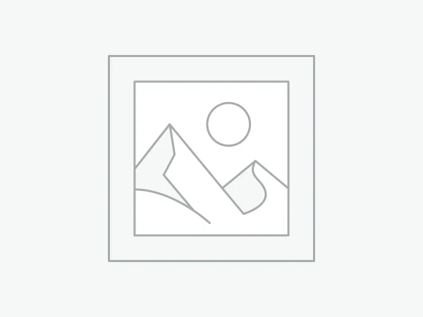 Timeless Classic Collection